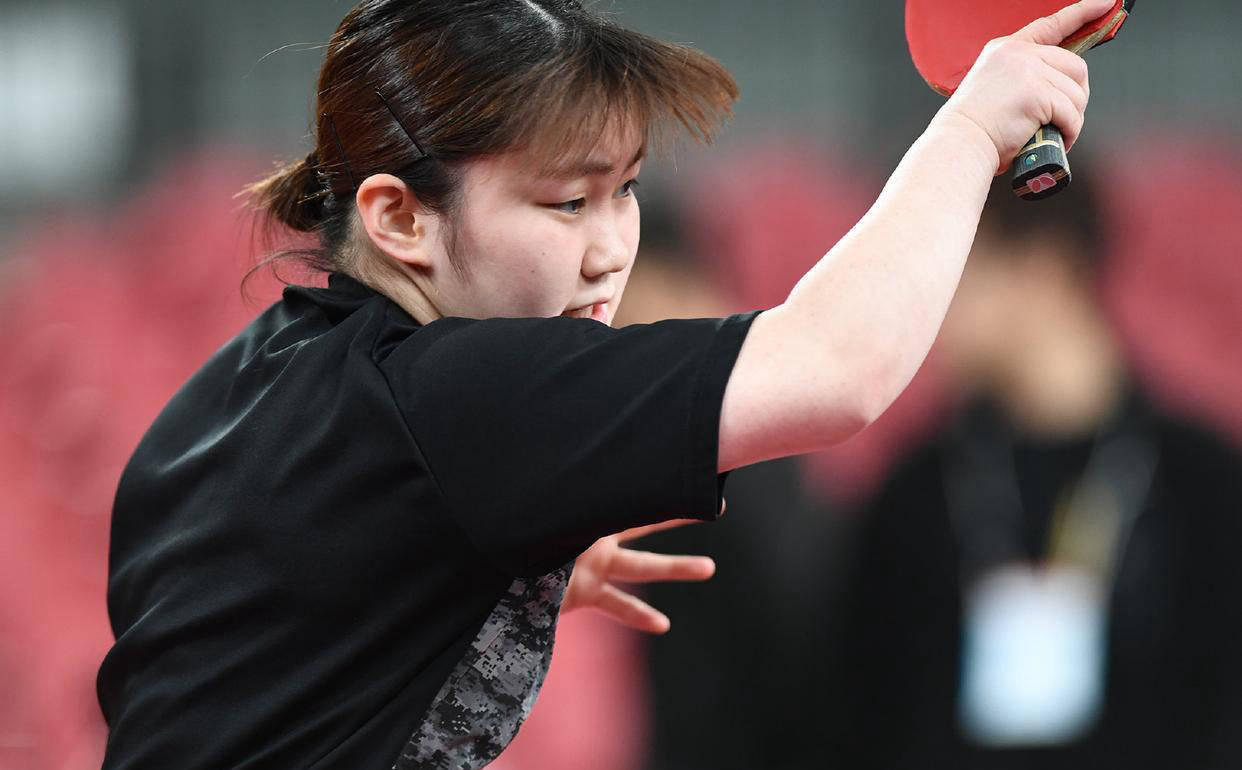 人类的和平 人类的和平